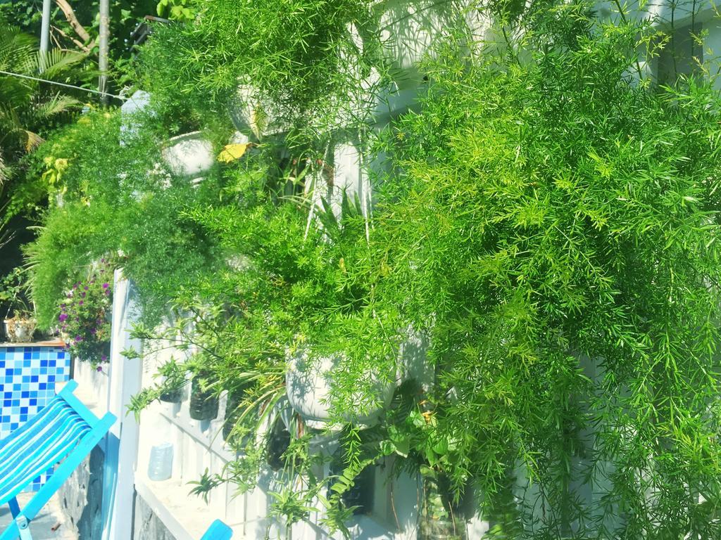 Fusion Villa 会安 外观 照片