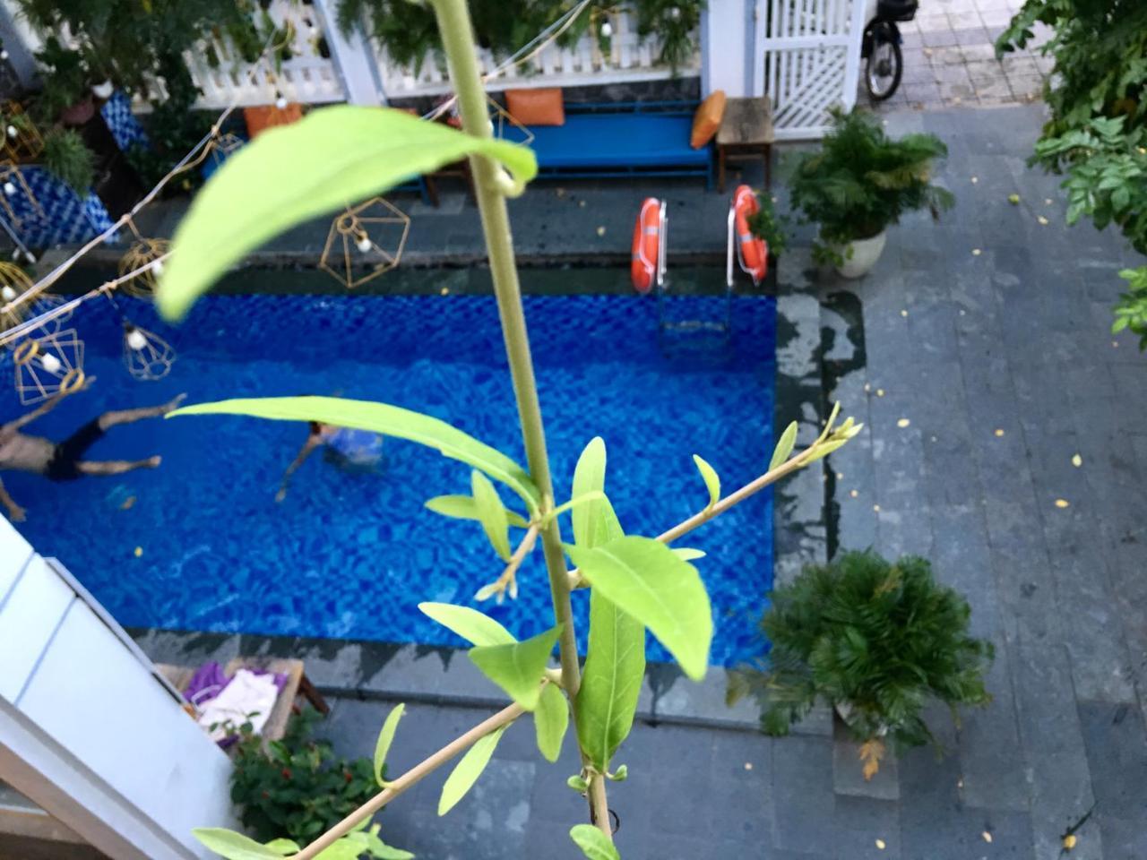Fusion Villa 会安 外观 照片